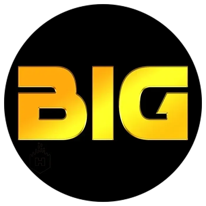 BIGHOKI - Aplikasi Lacak Langkah untuk Kesehatan Optimal